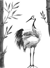 Japanese crane bird drawing.  Watercolor and ink illustration in style sumi-e, u-sin, go-hua Oriental traditional painting. Isolated .