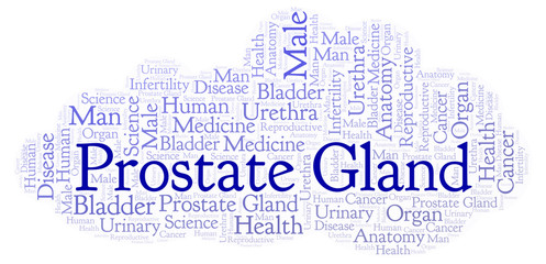 Fototapeta premium Prostate Gland word cloud.