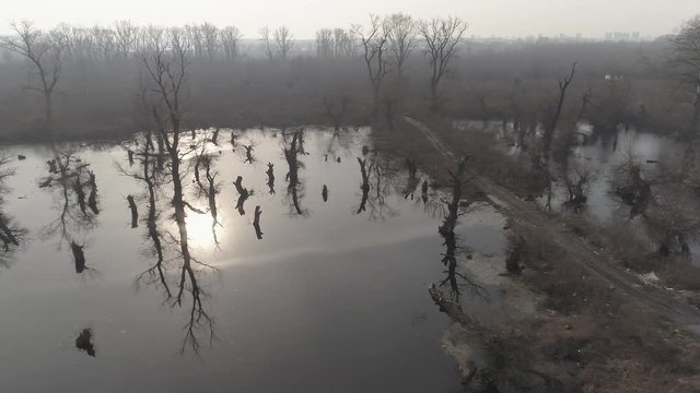 Drone 4K footage of a swamp in winter. Steampunk style. Tree stumps above water. Garbage. Bare branches, dirty water. Cold.