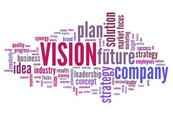 Vision in business