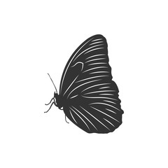 butterfly logo icon design template vector