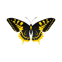 butterfly logo icon design template vector