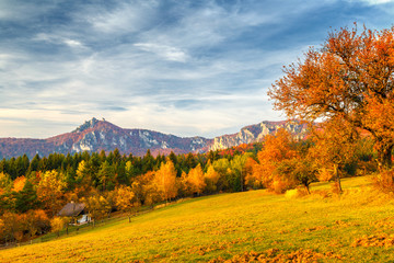 Naklejka premium Landscape with a trees in autumn colors. Mountains in the Sulov rocks Nature Reserves, Slovakia, Europe.