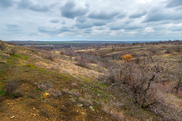 The slope of hill with the dry shrub without leaves