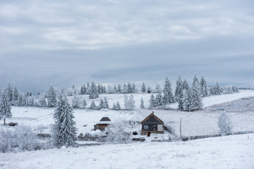 Winter woderland with chalet