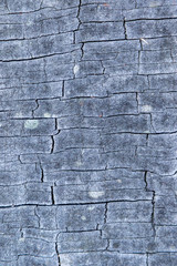 Close up of worn and weathered timber texture