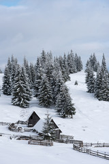 Obraz na płótnie Canvas Alpine village in winter in Transylvania
