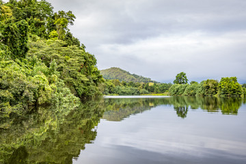 Fototapeta na wymiar Reflection of rainforest on tranquil river