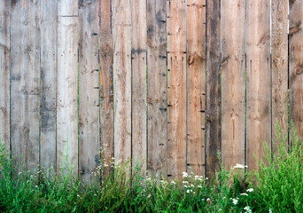 The texture of a fence of old boards against a background of green grass.