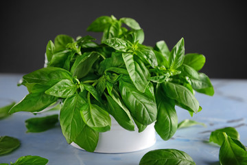 Fresh green basil on light table