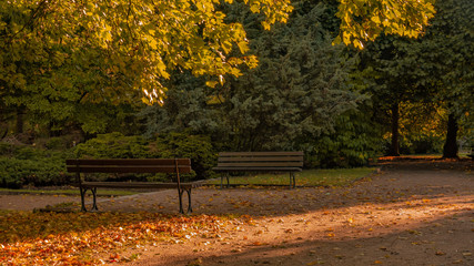 Fototapeta na wymiar Autumn in the park in Gdansk with benches and soft light.