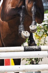 Der Hindernissprung beim Springreitsport, das Springpferd setzt mit einem Steilsprung über die...