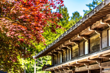 Fototapeta premium Japanese house with red maple