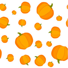 pumpkin art illustration