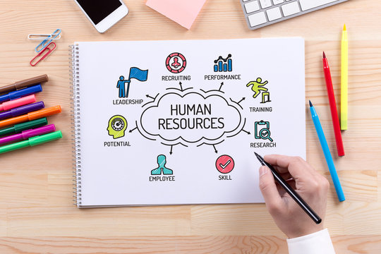 Human Resources Sketch Images – Browse 6,565 Stock Photos, Vectors, and Video | Adobe Stock