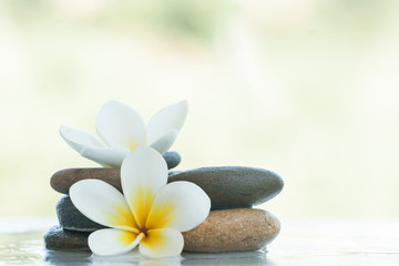 spa flowers in stones on white marble background.