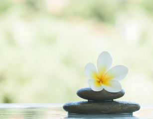 Tropical flower on two stones for massage treatment on white background with sunlight.