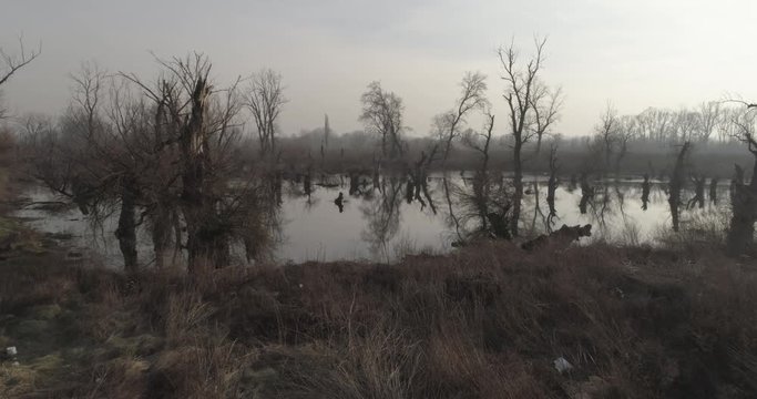 Drone 4K gliding above swamp, winter. Tree stumps above water. Garbage. Bare branches, dirty water. Cold.