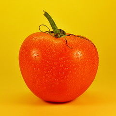 Red tomato with water drops on yellow background - 224854831