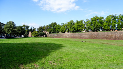 Fototapeta na wymiar fortress wall in lucca italy