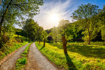 Summer Landscape with bright sun and road through green meadows with trees