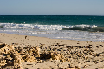 Landscape of a brach