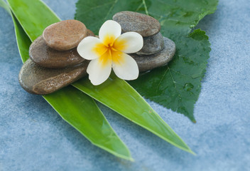 Fototapeta premium Tropical flower betwen stones for relax room