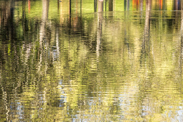 Hide Park lake landscape