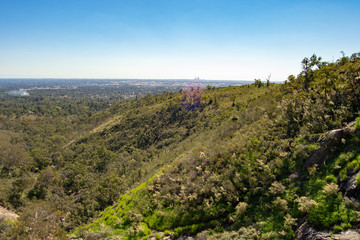 Fototapeta na wymiar Mundaring State Forest Perth WA Landscape