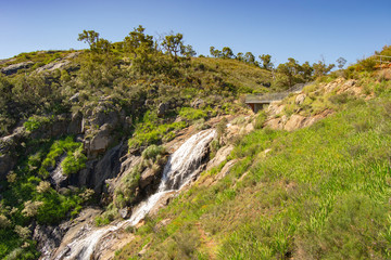 Fototapeta na wymiar Mundaring State Forest Perth WA Landscape