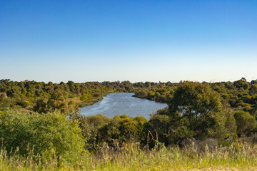 Mundaring State Forest Perth WA Landscape