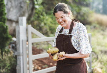Happy woman collecting potatoes at a farm