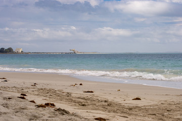 Fototapeta na wymiar Pelican on the beach