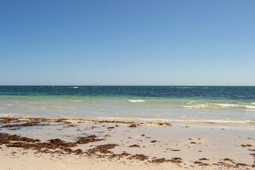 Fototapeta na wymiar Beach Landscape blue sky