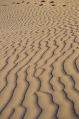 Beautiful dunes at Lancelin suset lights