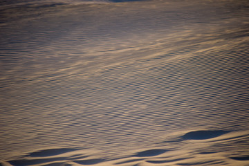 Beautiful dunes at Lancelin suset lights