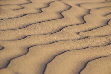 Beautiful dunes at Lancelin suset lights