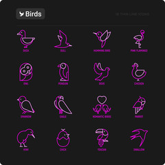 Birds thin line icons set: dove, owl, penguin, sparrow, swallow, kiwi, parrot, eagle, humming bird, pink flamingo. Modern vector illustration.