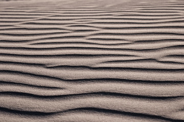 Beautiful dunes at Lancelin suset lights