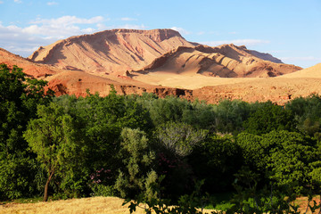 Dades