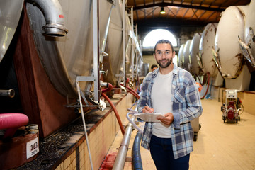 handsome man winemaker in a winery wine cellar during harvest season with stainless steel vats in background