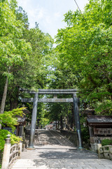 Japanese Temple Gate