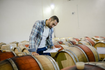 handsome man winemaker in a maturing wine cellar winery during harvest season with oak barrels