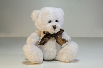 White teddy bear on a light background.