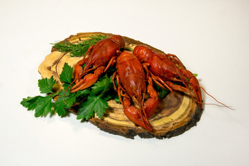 Boiled crawfish, green parsley on a light background.