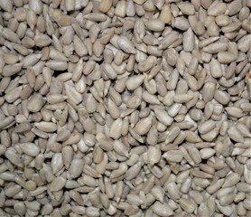 ядро семени подсолнечника