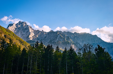 Mountain ridge with forest in front, Kamnisko Savinske Alps, Slovenia