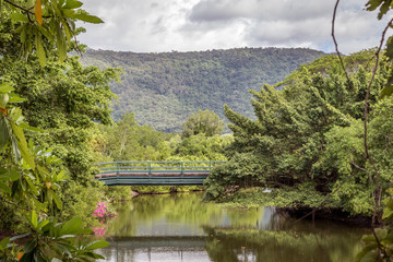 Walking bridge over tropical lake and landscape