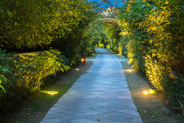 Garden path in resort with warm light and trees on side at evening, Garden Decoration.