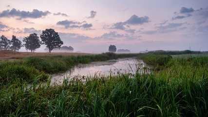Poranek w Dolinie Narwi